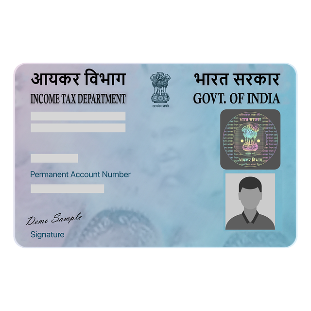 Types of PAN Cards in India